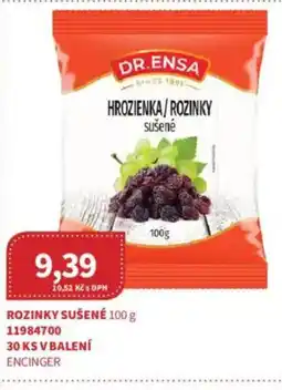 Kubík potraviny DR. ENSA Rozinky sušené nabídka