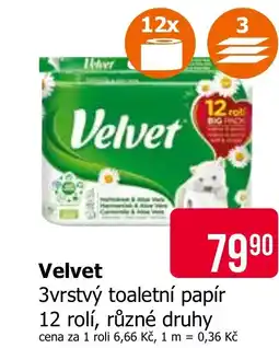 Teta Velvet nabídka