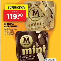 Lidl Zmrzlina magnum mini nabídka