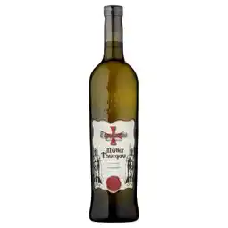 BENE Nápoje Templářské Sklepy Čejkovice Müller Thurgau jakostní bílé suché víno 0,75l nabídka