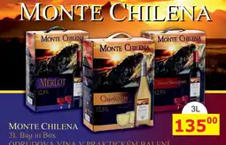BENE Nápoje MONTE CHILENA 3L Bag in Box 12,5% nabídka