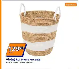 Action Úložný koš Home Accents nabídka
