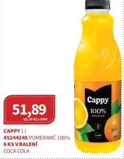 Kubík potraviny CAPPY nabídka