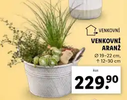 Lidl VENKOVNÍ ARANŽ nabídka