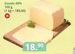 Potraviny CZ Gouda 48% nabídka