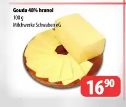 Partner Maloobchodní síť Gouda 48% hranol nabídka