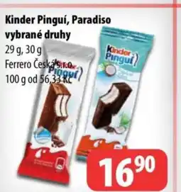 Partner Maloobchodní síť Kinder Pinguí, Paradiso vybrané druhy nabídka