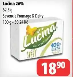 Partner Maloobchodní síť Lučina 26% nabídka