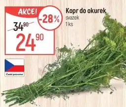 Globus Kopr do okurek nabídka