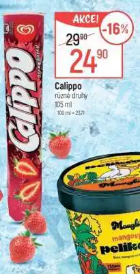 Globus Calippo nabídka