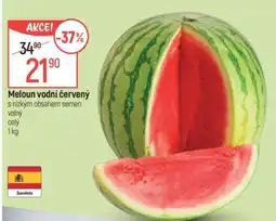 Globus Meloun vodní červený nabídka