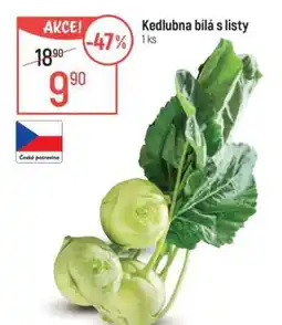 Globus Kedlubna bílá s listy nabídka
