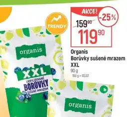 Globus Organis Borůvky sušené mrazem XXL nabídka