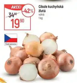 Globus Cibule kuchyňská žlutá nabídka