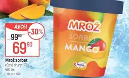 Globus Mrož Sorbet nabídka