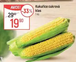Globus Kukuřice cukrová klas nabídka