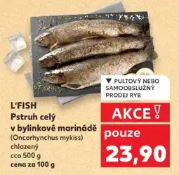 Kaufland L'FISH Pstruh celý v bylinkové marinádě nabídka