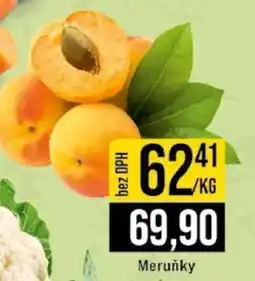 Jip Meruňky nabídka