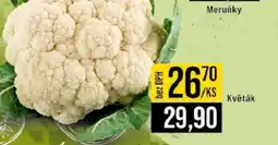 Jip Květák nabídka