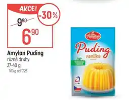 Globus Amylon Puding nabídka