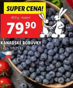 Lidl KANADSKÉ BORŮVKY, 400 g nabídka