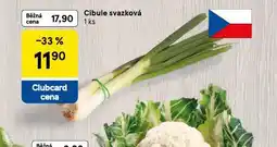 Tesco Cibule svazková nabídka
