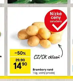 Tesco Brambory rané nabídka