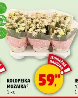 Penny Market Kolopejka Mozaika nabídka