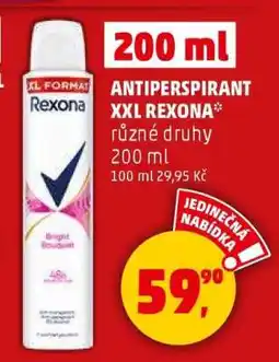 Penny Market Antiperspirant XXL Rexona nabídka