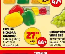 Penny Market Paprika trikolora / bicolora nabídka