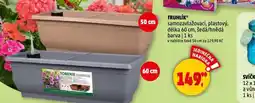 Penny Market Truhlík nabídka