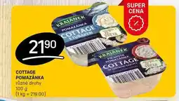 Flop COTTAGE POMAZÁNKA různé druhy 100g nabídka