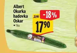Albert Albert Okurka hadovka 1 ks nabídka