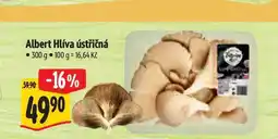 Albert Albert Hlíva ústřičná 300 g nabídka