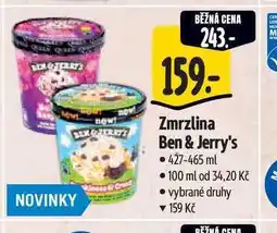 Albert Ben & Jerry's zmrzlina 427-465ml, vybrané druhy nabídka