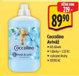 Albert Coccolino aviváž nabídka