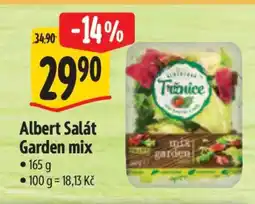 Albert Albert salát Garden Mix nabídka