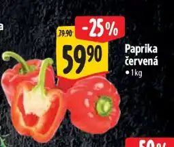 Albert Paprika červená nabídka