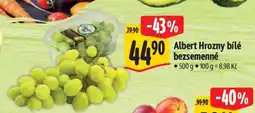 Albert Albert Hrozny bílé bezsemenné nabídka