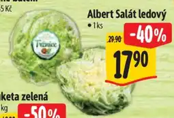 Albert Albert Salát ledový nabídka