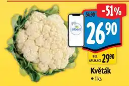 Albert Květák nabídka