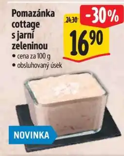 Albert Pomazánka cottage s jarní zeleninou nabídka
