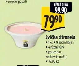 Albert SVÍČKA CITRONELA nabídka