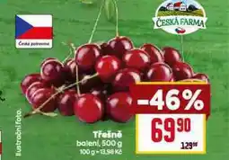 Billa Třešně nabídka