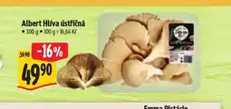 Albert Hlíva ústřičná nabídka