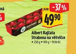 Albert Rajčata strabena na větvičce nabídka