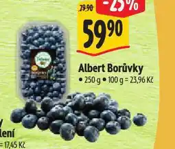 Albert Borůvky nabídka