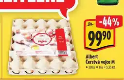 Albert Vejce m nabídka