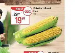 Globus Kukuřice cukrvá klas nabídka