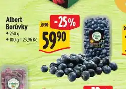 Albert Borůvky nabídka